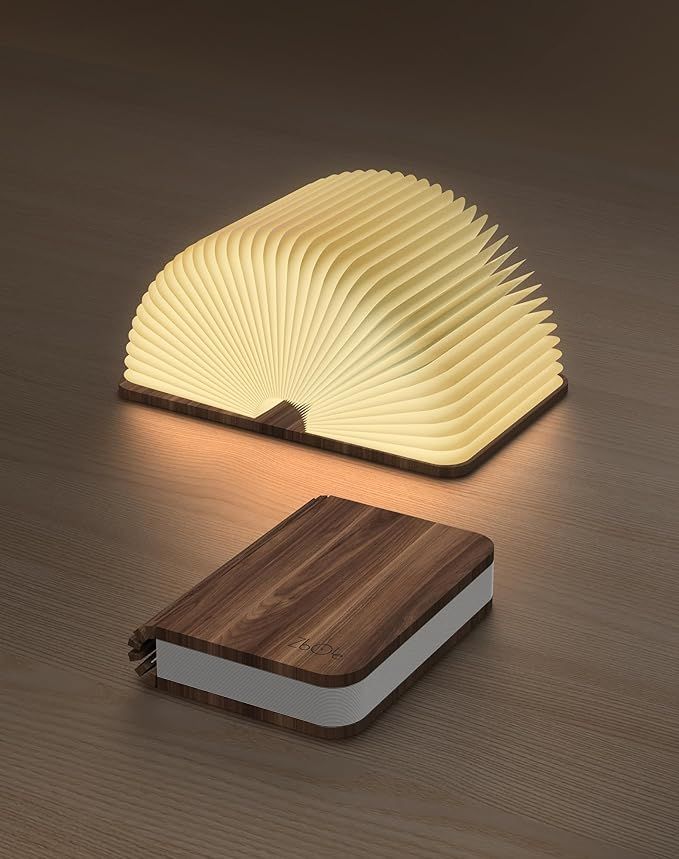 Book lamp rechargeable