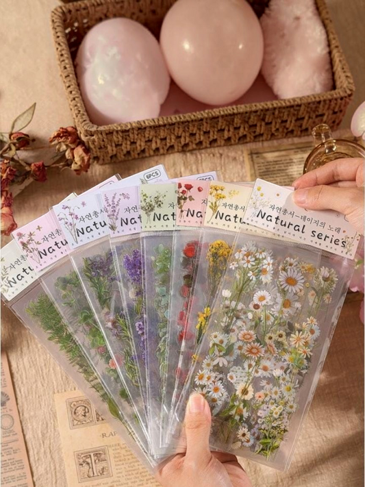 Miso station Natural Series botanical flower sticker sheets with transparent pressed wildflower designs for journaling.