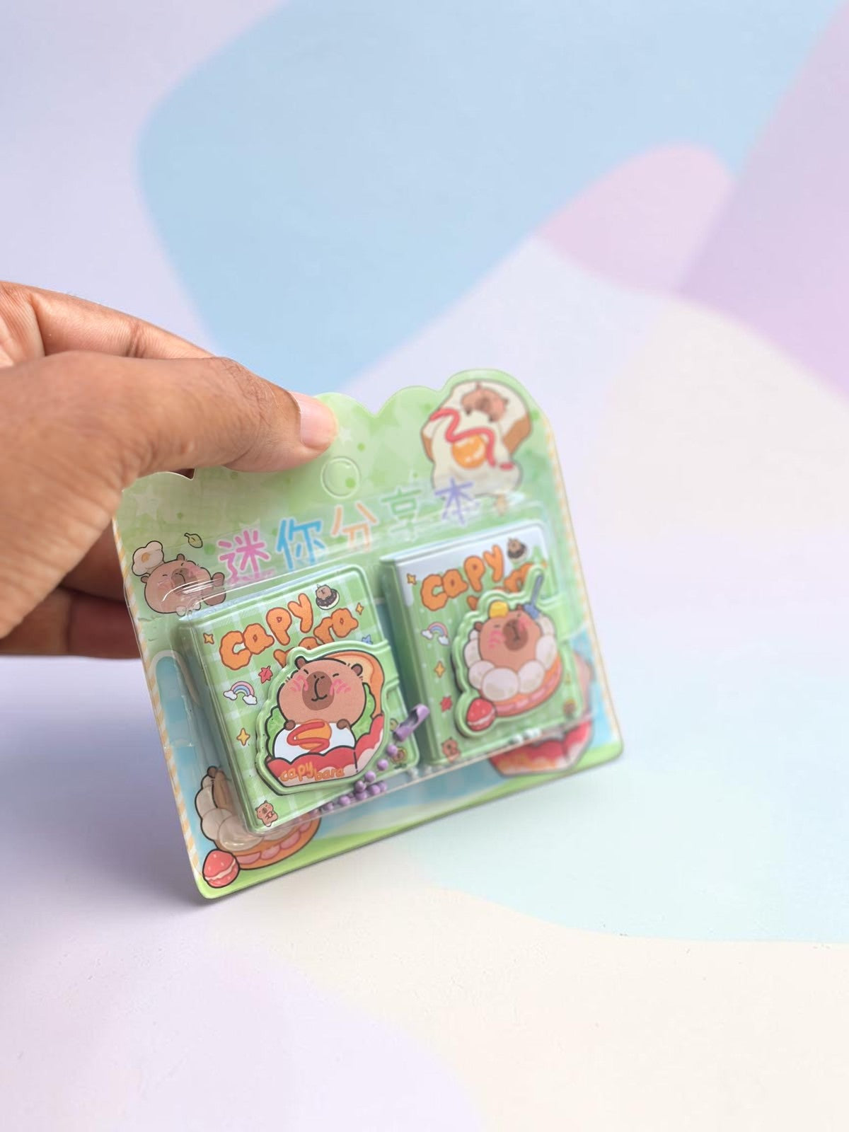Miso station capybara themed mini notebook set in green packaging with cute food illustrations