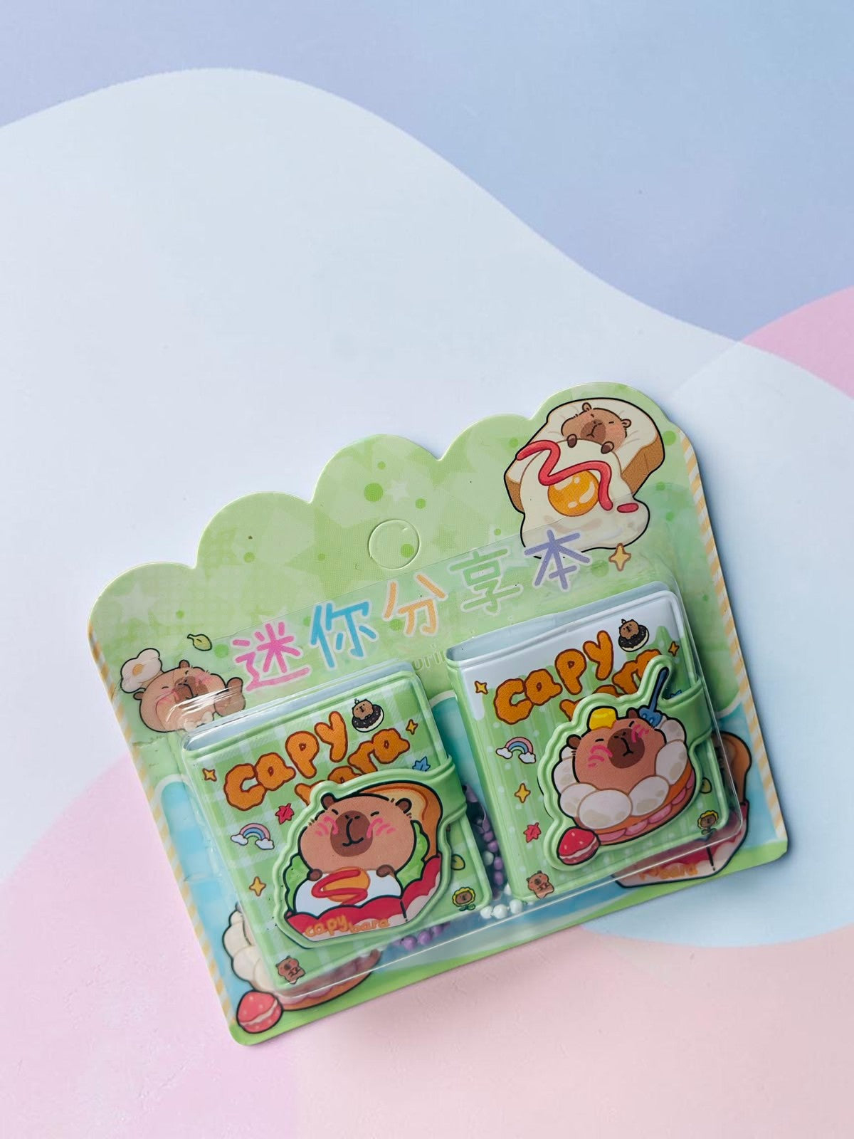 Miso station capybara themed mini notebook set in green packaging with cute food illustrations and secure closures