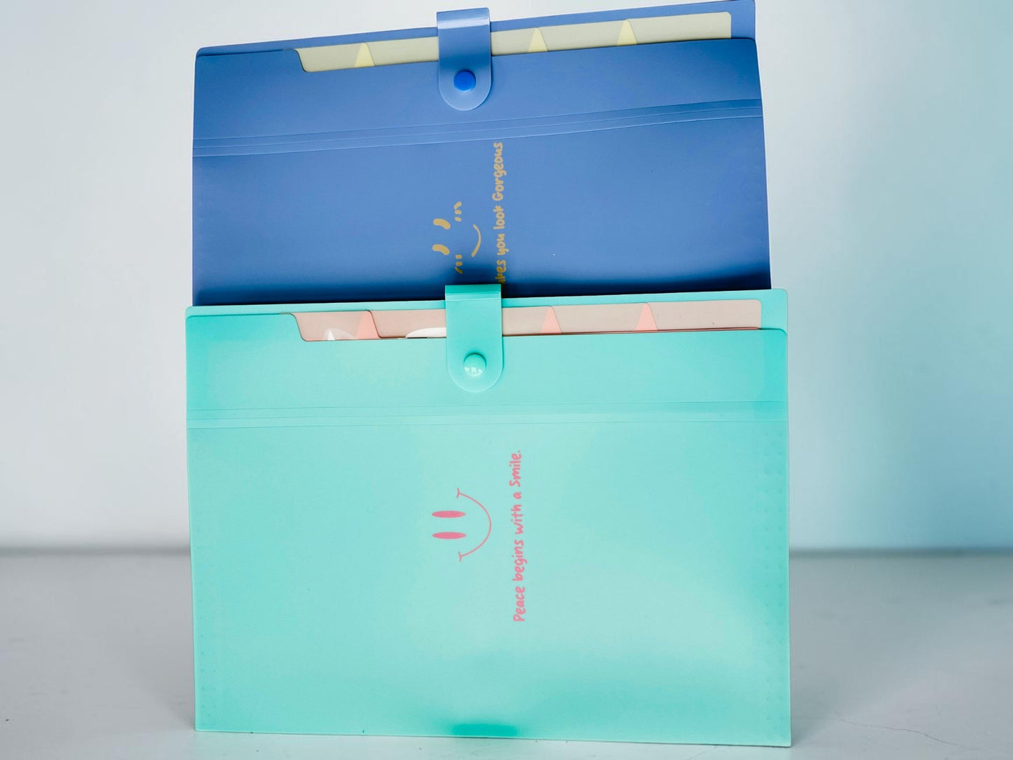 Pastel File with Folder