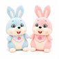 Miso station plush rabbit stuffed animals in pastel blue and blush pink with floppy ears and cute bibs